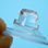 Suction Cup - close up Suction Cup - close up