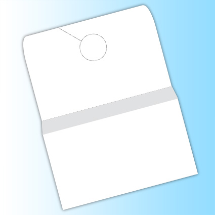 Pay Envelope w/ Hang Tag Receipt Pay Envelope w/ Hang Tag Receipt